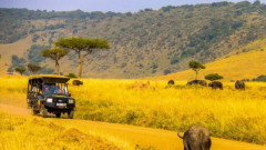 Tourists touring a park in Kenya. PHOTO/COURTESY